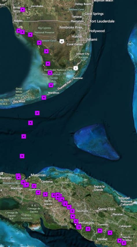 Osprey Migration Update! Cuba! - The Center for Conservation Biology