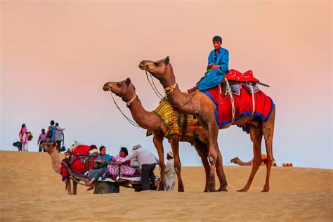 Camel Safari In Jaisalmer - Shama Desert Camp