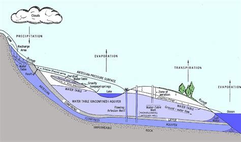 Aquifer Diagram Labeled