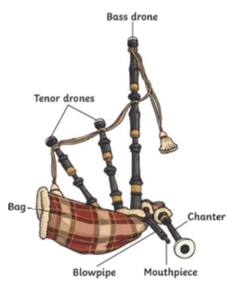 Bagpipes and Bodhrans: Traditional Scottish Instruments