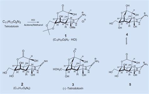 The Chemist’s Fear of the Fugu :: ChemViews Magazine :: ChemistryViews