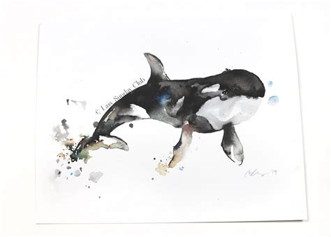 Orca (Killer) Whale Original Watercolor Painting – Easy Sunday Club