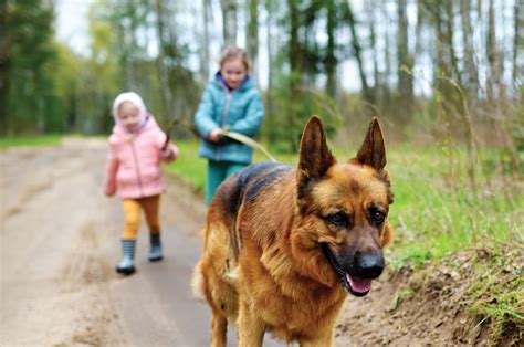 Kids walking dog | Tug Hill Tomorrow Land Trust