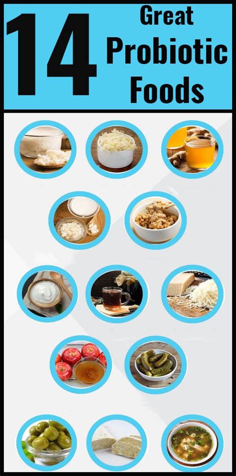 14 Probiotic Foods You Should Add To Your Diet | Probiotic foods ...