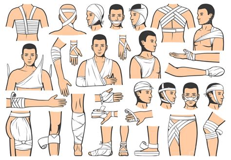 Bandaging Vector Design Images, Trauma Bandaging Technique Injury ...