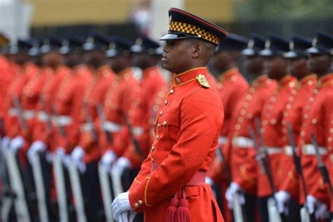 Jamaica GleanerGallery|Ceremonial Opening of Parliament 2019|Ceremonial ...