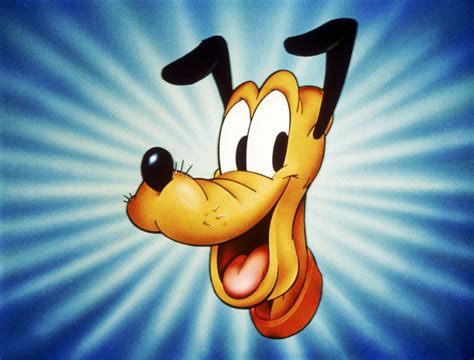 How Old Is Pluto The Dog