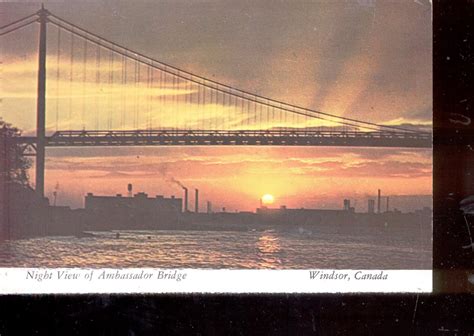 Night View of Ambassador Bridge- Windsor, Canada Postcard ( # 838)