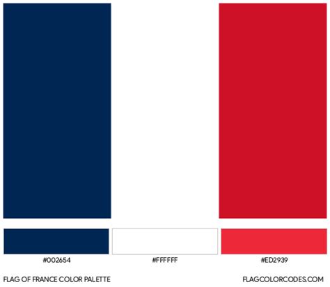 French Flag Graphic