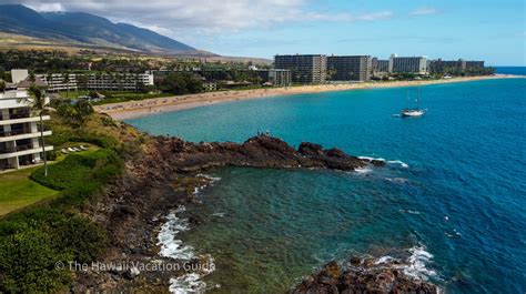 Get Up Close and Personal with Maui's Majestic Turtles: 10 Must-Visit ...