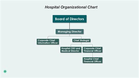 A Comprehensive Overview of Hospital Organizational Charts - EdrawMind