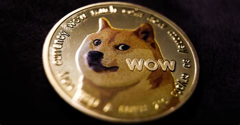 Shiba Inu behind "Doge" meme diagnosed with cancer and liver disease ...