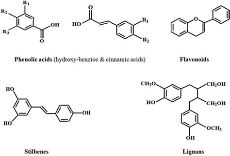 Structures of plant polyphenols. | Download Scientific Diagram