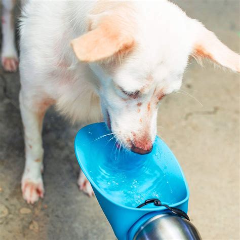 Tuff Pupper Big Dog - Portable Dog Water Bottle / Water Bowl | The ...