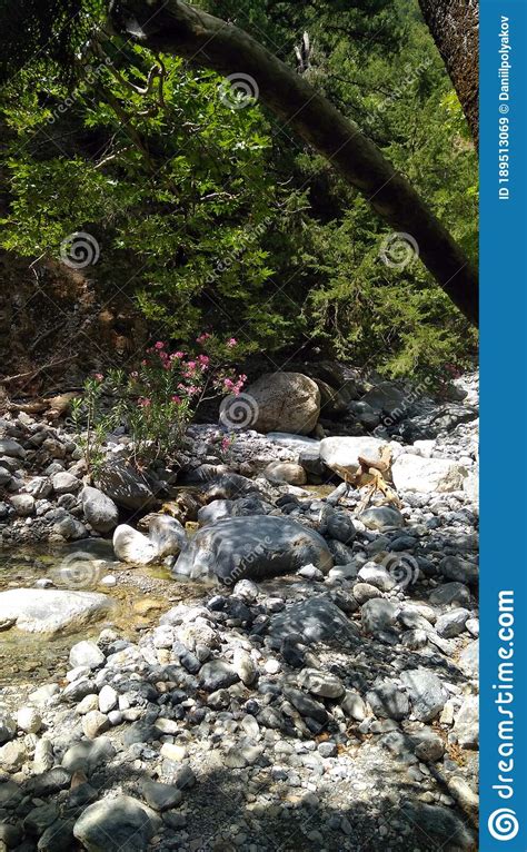 National Park `Samaria`. Mountain River Stock Image - Image of varies ...