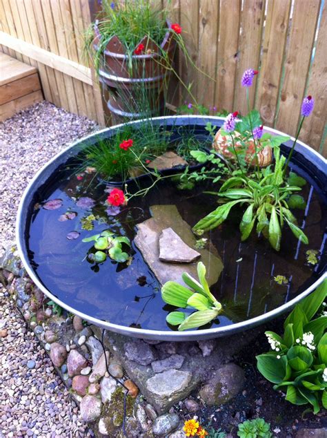 My container pond. Inspired by Pinterest! Been great fun creating it ...