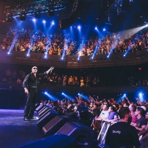 Last Night a Pitbull Concert Saved My Life - Noisey