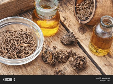 Herbal Tincture Image & Photo (Free Trial) | Bigstock