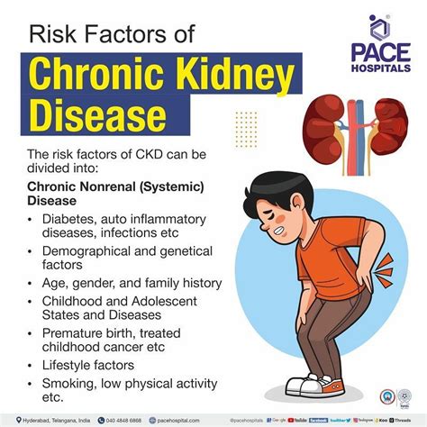 Chronic Kidney Disease - Symptoms, Stages, Causes, Risk Factors