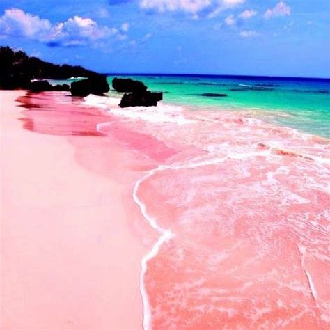 How amazing is this pink sand beach in Bermuda. | Reizen, Roze strand ...