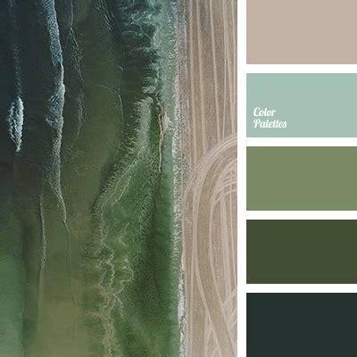 Color Palette #4196 | Color Palette Ideas