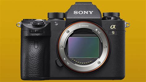 Sony Camera Settings for Bird Photography | Fstoppers