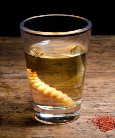 The Real Story Behind The Tequila Worm | VinePair