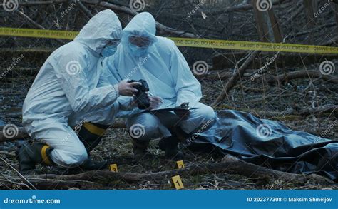 Forensic Team Searh And Evidence Marker In Crime Scene Training Stock ...