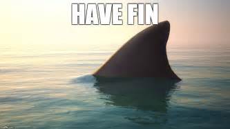 Image tagged in pun,shark - Imgflip