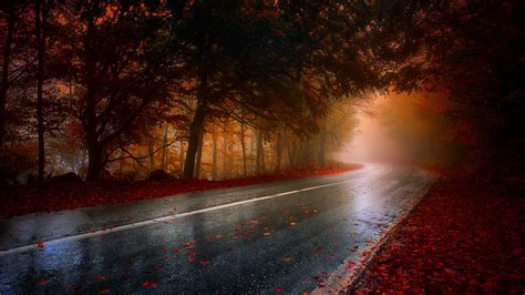 Wet Rainy Road Leaf Fallen Hd Wallpaper,HD Nature Wallpapers,4k ...