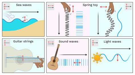 Transverse Wave Real Life Examples