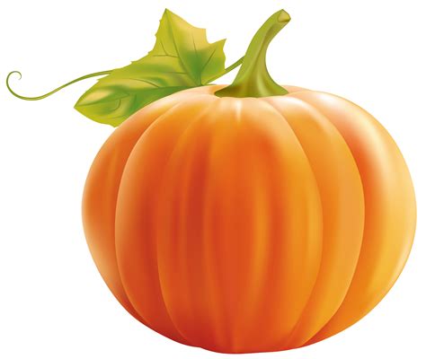 Pumpkin Clip Art Images Images & Pictures - Becuo