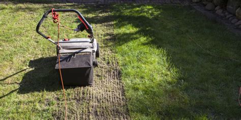 How to Tell if You Need Lawn Aeration Services | Carolina Turf and Mosquito