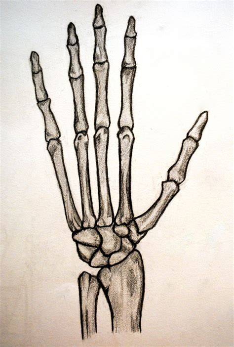 Easy Skeleton Hand Drawings