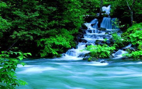 forest waterfall wallpaper hd - Quick Could News