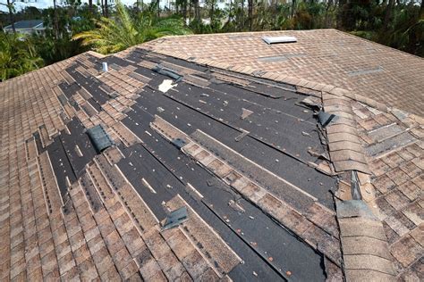 Don't Let Hurricane Season Catch You Off Guard | Red Dog's Roofing