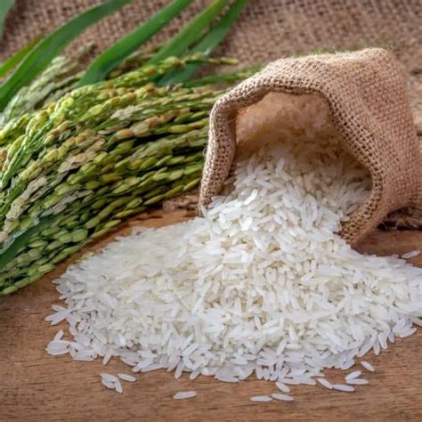 What is Jasmine Rice? Taste, Origin, Types, Cooking Tips & More - Bite ...