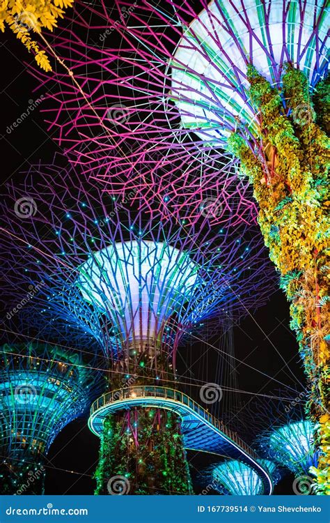 SINGAPORE: Supertrees and Bridge Illuminated for Light Show in Gardens ...