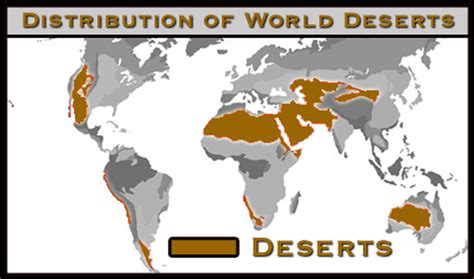 Biome Map - Desert Biome