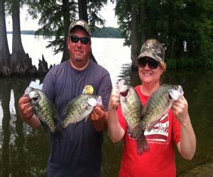 Reelfoot Lake Fishing Report