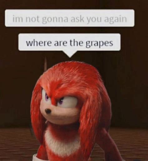 knuckles meme in 2022 | Knuckle, Echidna, Memes