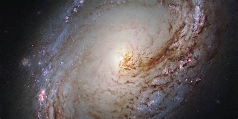 NASA's Hubble Telescope Captures Stunning Image Of Milky Way-Type ...