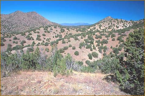 Jim Morrison | The Shaman's Journey | Cerrillos, New Mexico