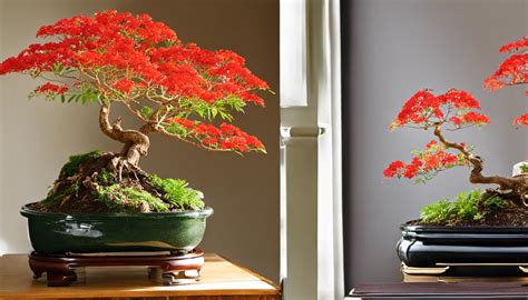 Cultivating Royal Poinciana Bonsai: A Comprehensive Guide - Bonsai Arbor