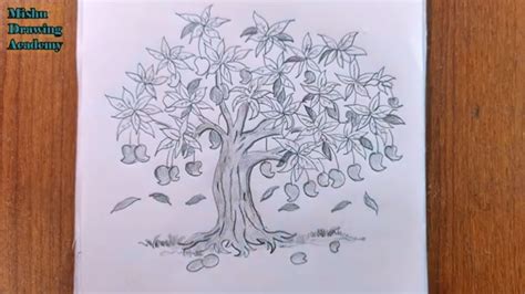 Mango Tree Sketch