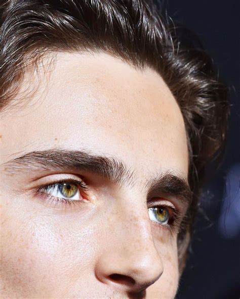 Timothée Chalamet🌻FANPAGE on Instagram: “HQ CLOSE-UPs 🌟CAN WE TALK ...