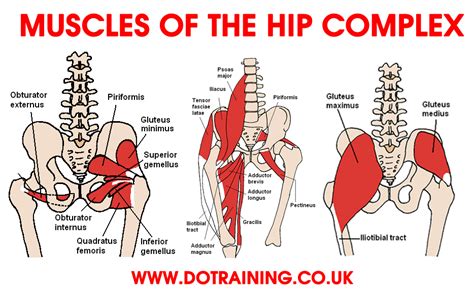 6 Steps to Correcting Hip Flexor Pain | Balance In Motion