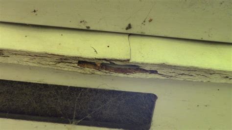 Wood Rot Fascia Board Repair in Cincinnati, OH [Video]