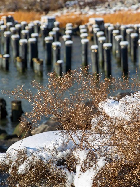 Winter Guide - Brooklyn Bridge Park