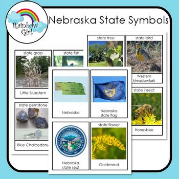 Nebraska State Symbols by Rainbow Girl | TPT